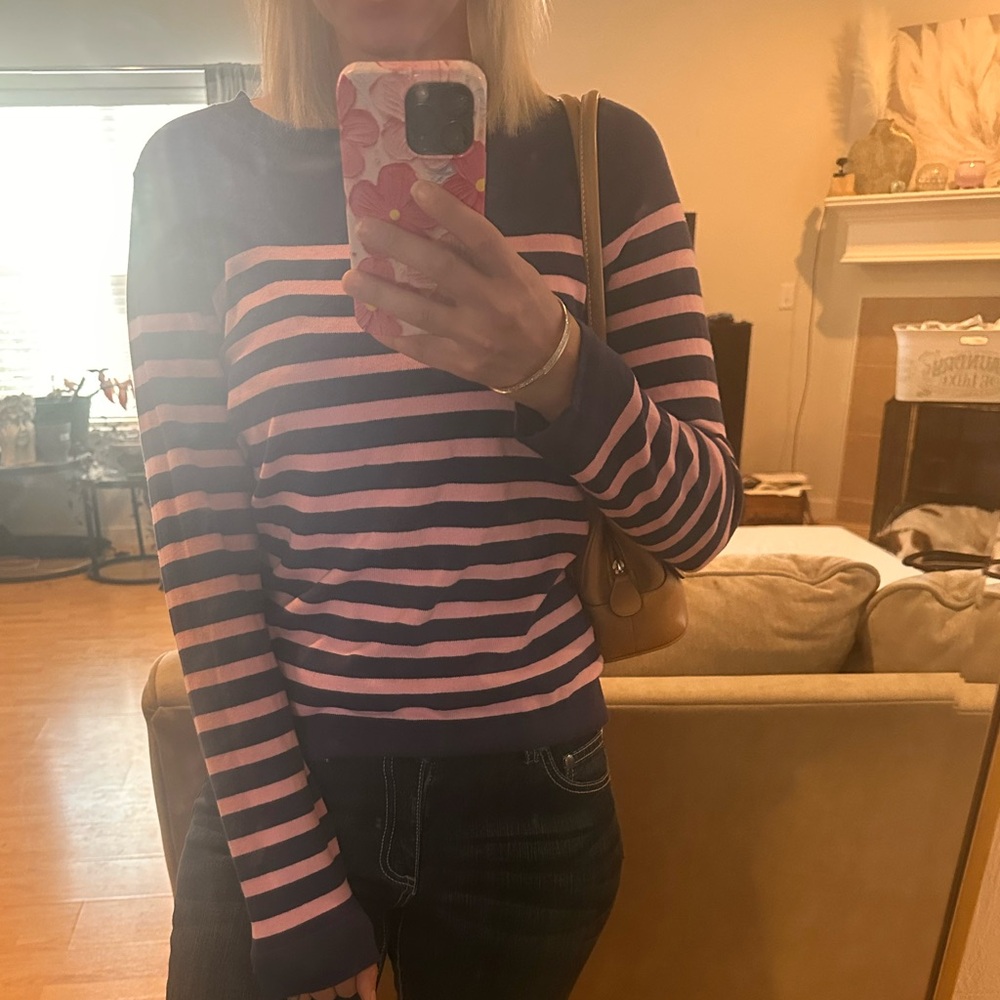 J. Crew Striped Sweater in Navy and Pink